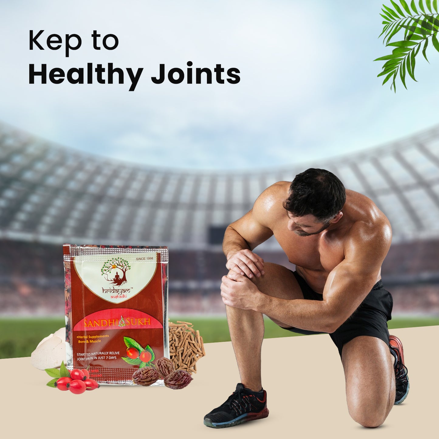 Sandhi Sukh Powder: A Miraculous Cure to Joint Pain