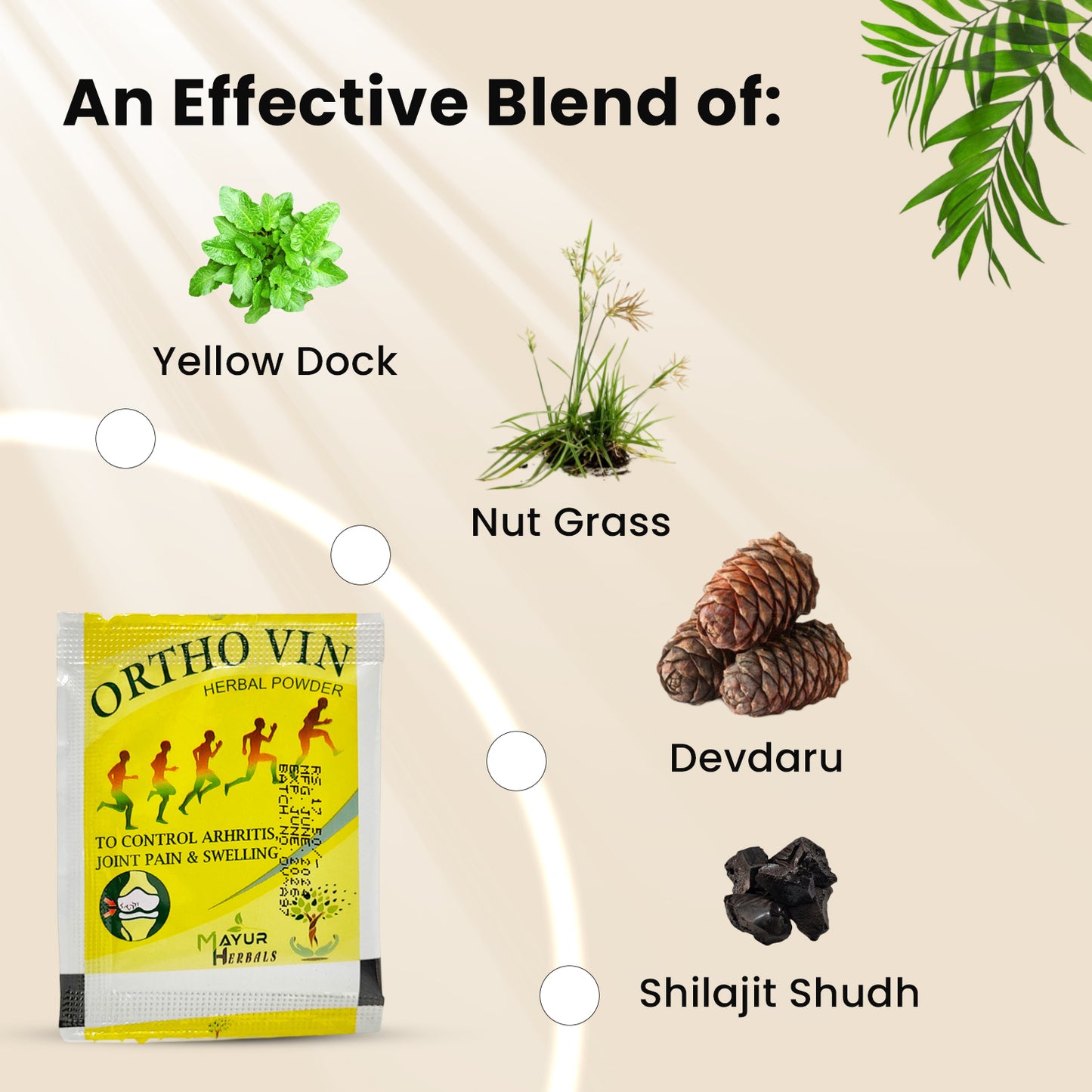 Ortho Vin Powder: Take Complete Charge of Your Musculoskeletal Health