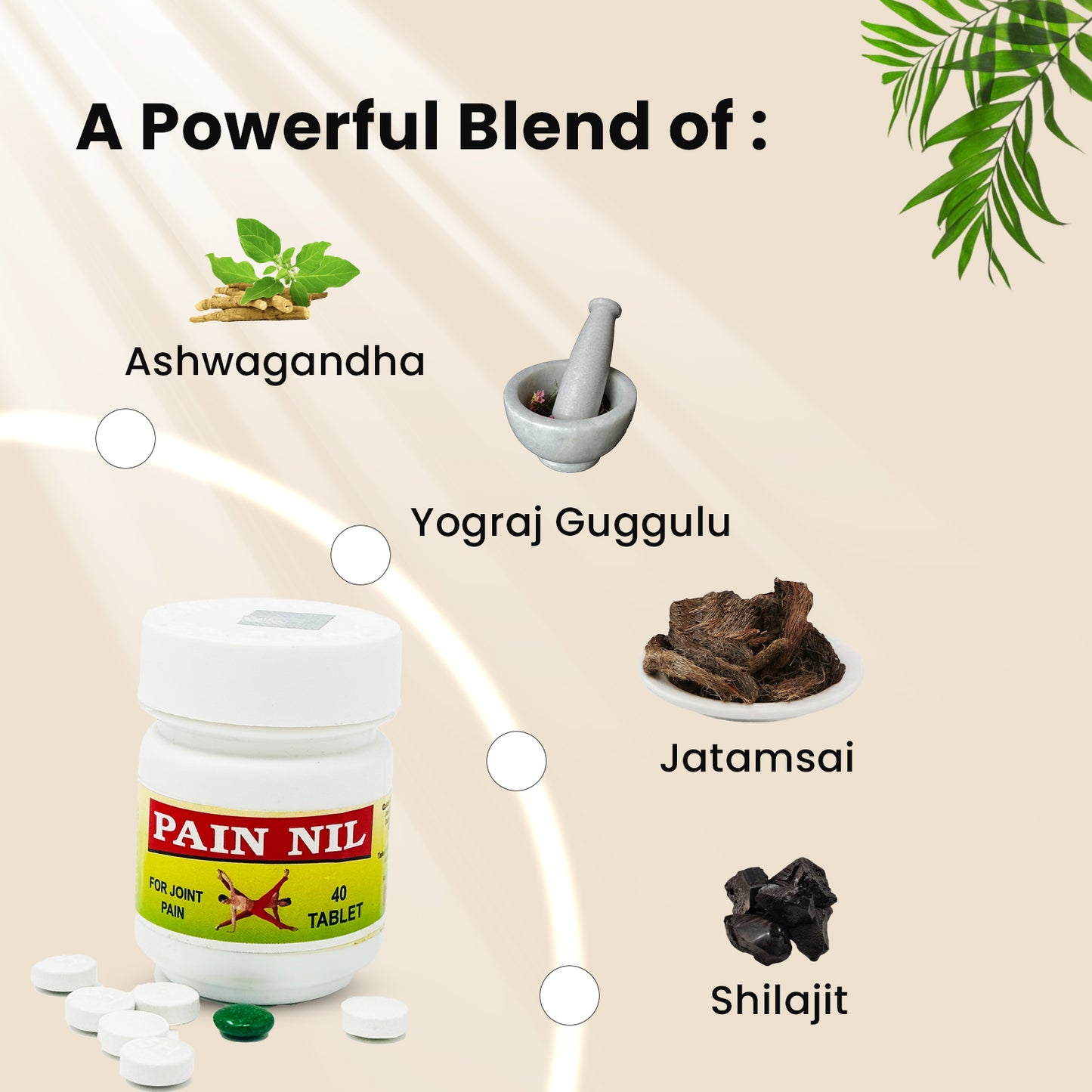 Pain Nil Tab Boost Bone Health with Ayurveda's Natural Methods
